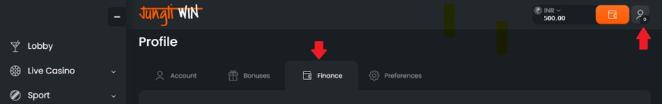 Arrow pointing on finance section on Jungliwin website