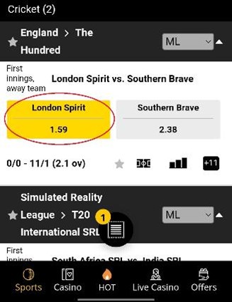 Placing odds on 10cric mobile app