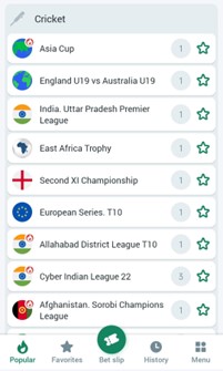 Cricket market on betwinner app