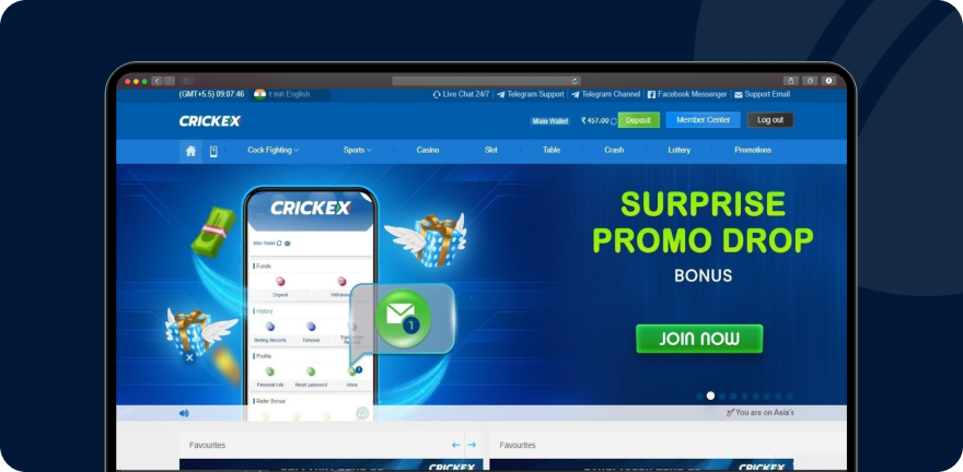 Crickex Homepage